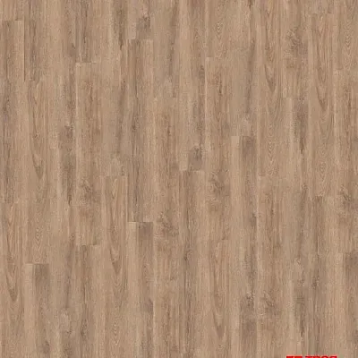 Виниловый пол Wineo 600 DB Wood CozyPlace (DB186W6)-0