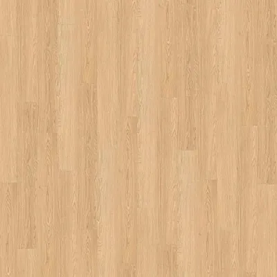 Виниловый пол Wineo 600 DB Wood NaturalPlace (DB183W6)-0