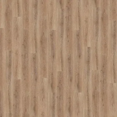 Виниловый пол Wineo 600 DB Wood SmoothPlace (DB185W6)-0