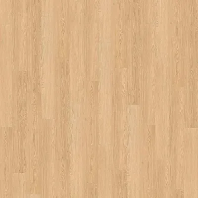 Виниловый пол Wineo 600 RLC Wood NaturalPlace (RLC183W6)-0