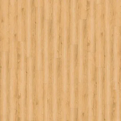 Виниловый пол Wineo 800 DLC Wood Wheat Golden Oak (DLC00080)-0