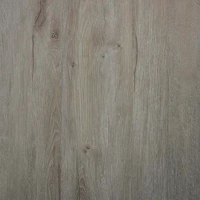 Вінілова підлога SPC BlissGround Forest Zion-1