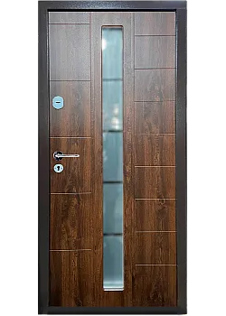 Двери СТ-101 RAL 8019/Дуб бронзовый Контур Входные