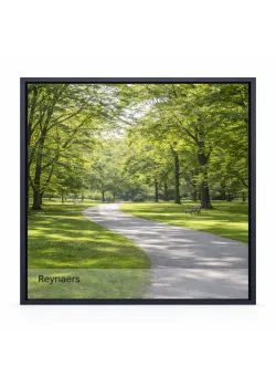 Алюминиевое окно Reynaers CS 77 с теплоизоляцией глухое 1500*2500 мм