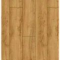 Anatolia Platinium
