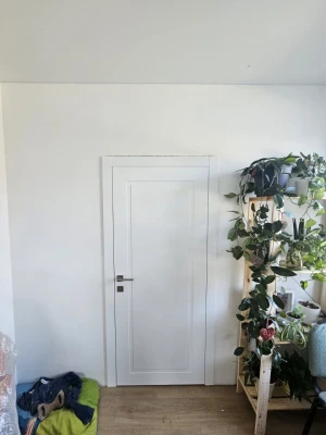 Двери P01 Dooris