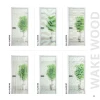 Каталог WakeWood 48