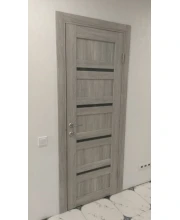Двері Terminus Nanoflex 107NF ПГ ескімо