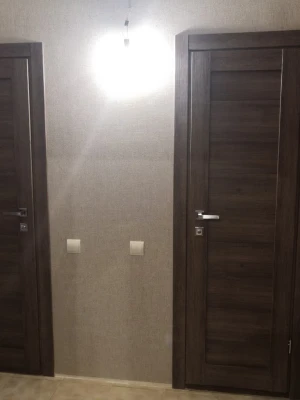 ART DOOR ART 10-01