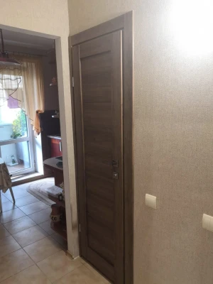 ART DOOR ART 10-01