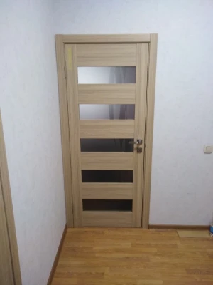 ДВЕРИ ФОРТЕ ЛИАНА ПО ОМИС