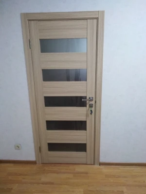 ДВЕРИ ФОРТЕ ЛИАНА ПО ОМИС