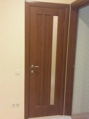 НСД Двері Трояна з одним склом темний дуб