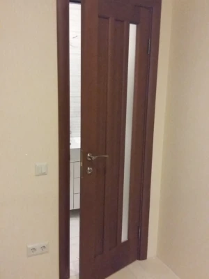 НСД Двері Трояна Темний дуб