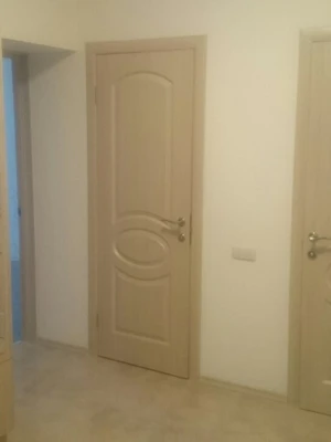 Новый Стиль Фортис R глухие