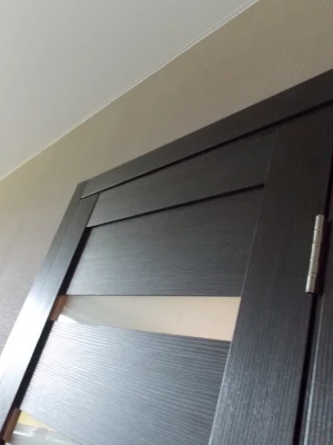 Двери STDM Alegra AG-6 венге