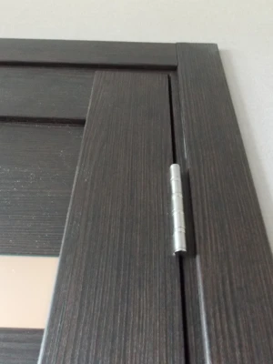 Двери STDM Alegra AG-6 венге