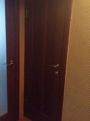 НСД Шпонированные двери Дельта ПО