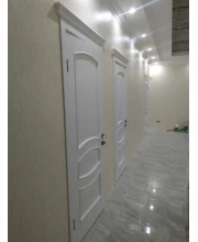 Двери Terminus Caro 50 ПГ