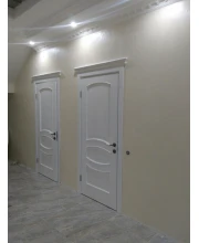 Двери Terminus Caro 50 ПГ