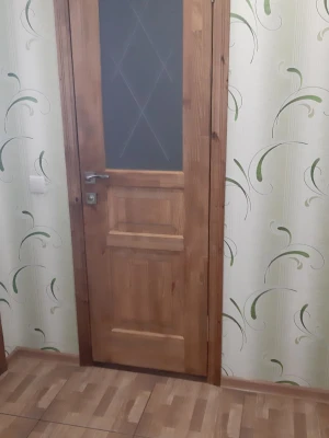 Двери Praktic Полустекло Rodos