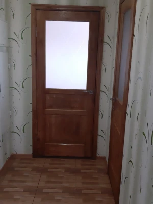 Двери Praktic Полустекло Rodos