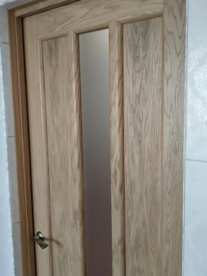 Двери Трояна 1 СС НСД Двери