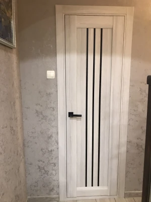 Двери Verona BLK Leador