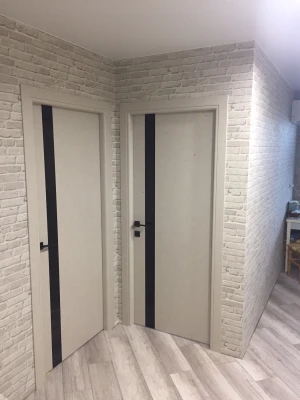 Двери Plato Line PTL-04 дуб ольс BLK Darumi