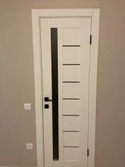 Двери Model 09 белый матовый Омис