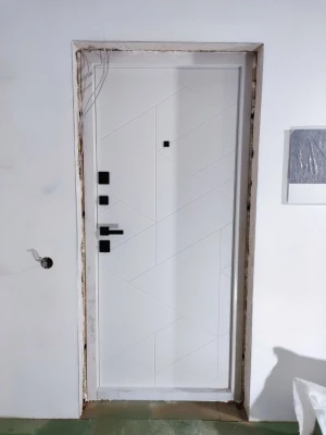 Двери Фрост 2 цвета Qdoors