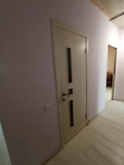 Двери Соло ПО "Омис"