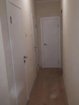Двери G01 Dooris