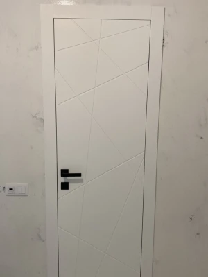 Двери G06 Dooris
