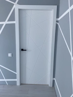 Двери G06 Dooris