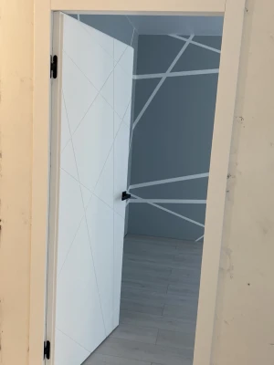 Двери G06 Dooris