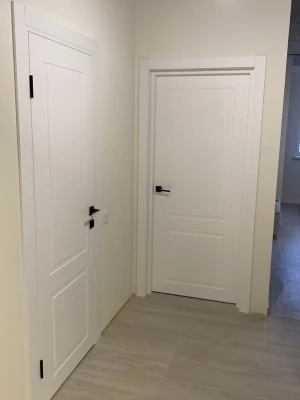 Двери P02 Dooris