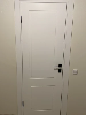 Двери P02 Dooris