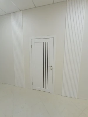 Двери Belluno BLK Leador