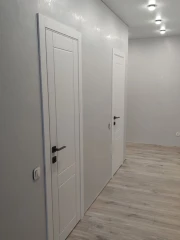 Двери Милан ПГ RAL Allure Omega