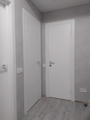 Двери Modern EM 1 Family Doors