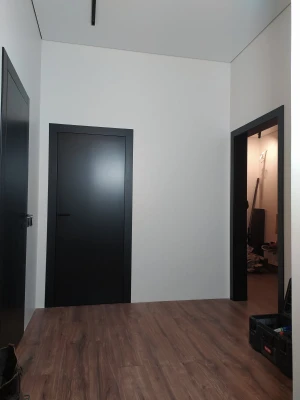 Двери Modern EM 1 Family Doors