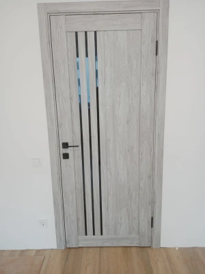 Двери Belluno BLK Leador Express