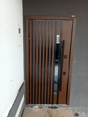 Двери Рио S Loft дуб темный Страж