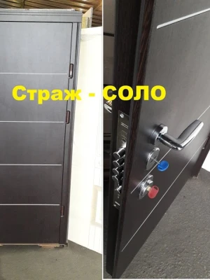 Двери Соло Престиж "Страж"