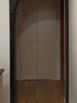 Арки Дарк Люкс Универсал