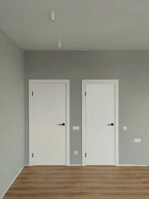 Двери Paint 1 ГРАНД