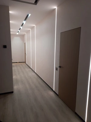 Двери Скрытого монтажа Dooris G00 грунт