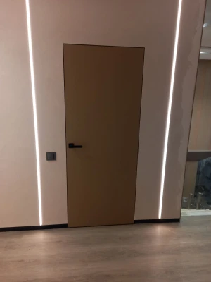 Двери Скрытого монтажа Dooris G00 грунт