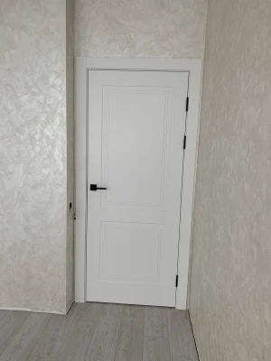 Двери DREAM, RAL 9003 Status